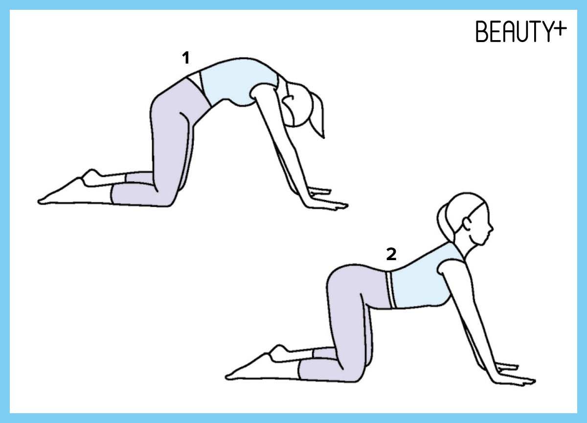 신경계 이완 스트레칭, 척추 스트레칭, 고관절 스트레칭, 전신 스트레칭, 회전근 스트레칭