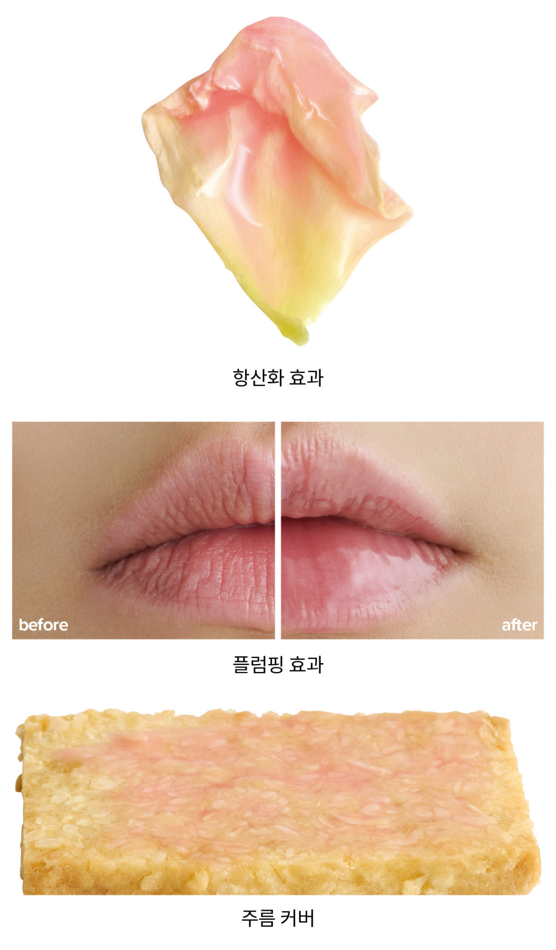 글로스 아 레브르 #219 버사 핑크 실험 결과