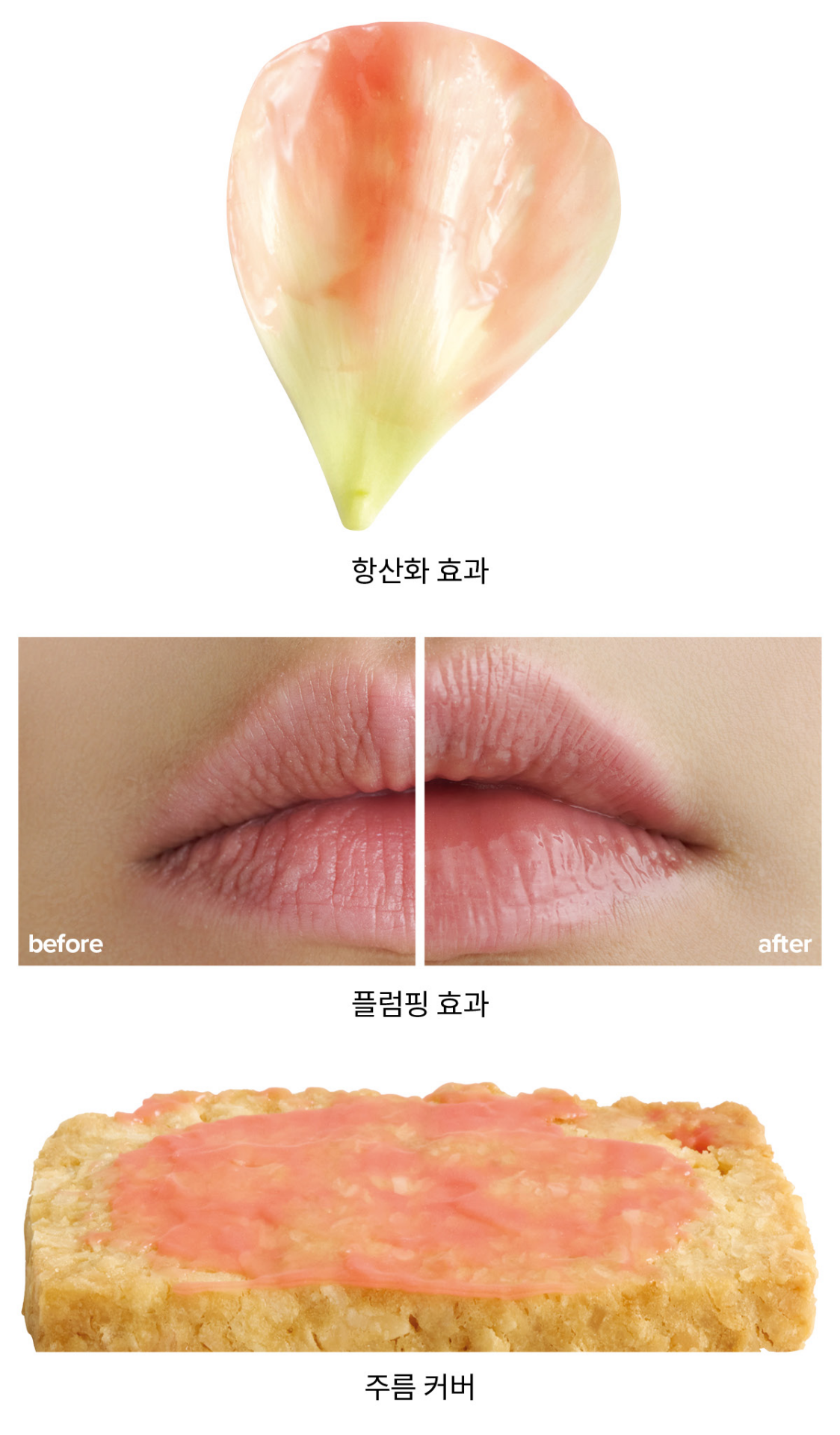 라메르 립 볼류마이저 코랄 실험 결과