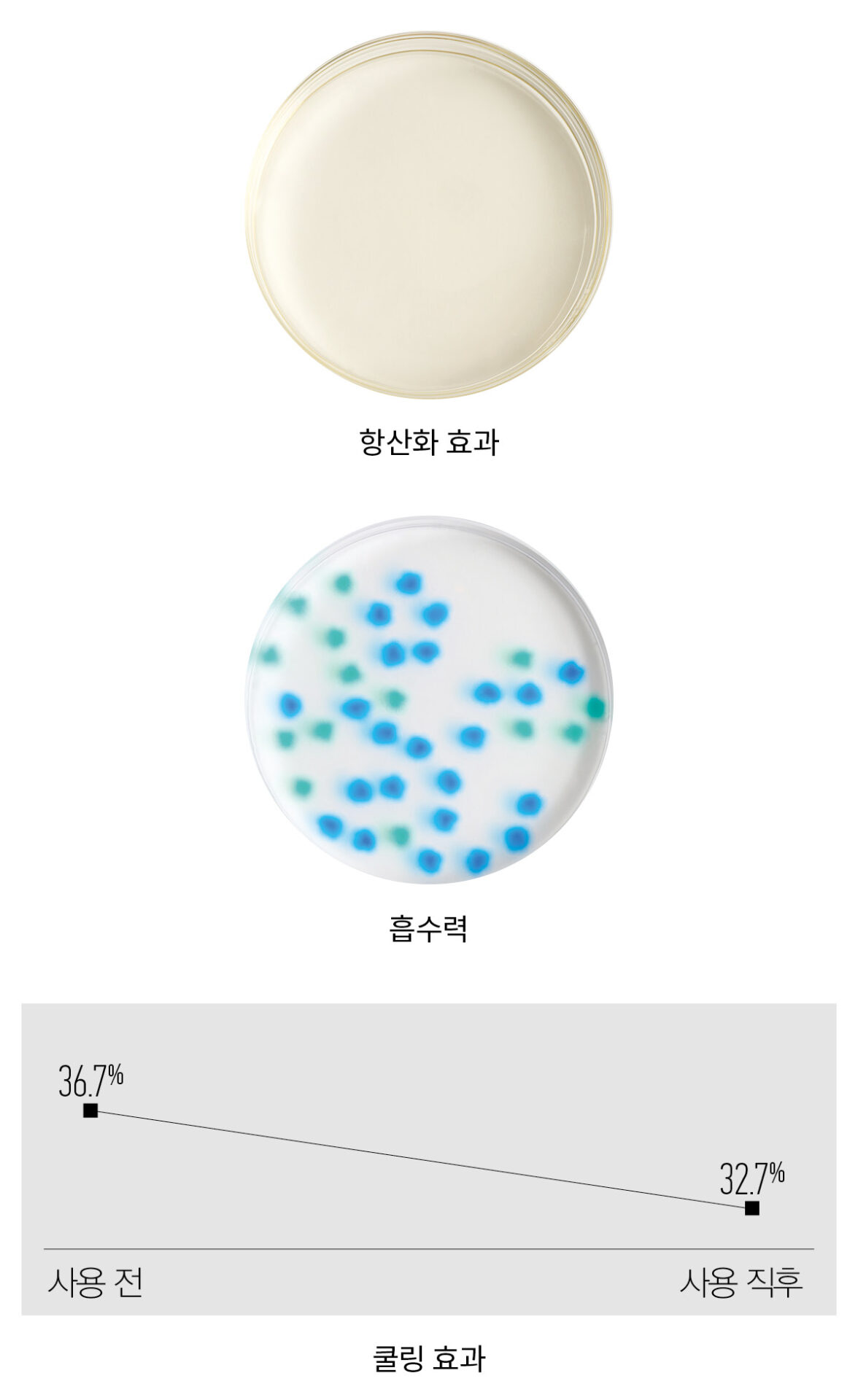 다비네스 에너자이징 씨크닝 토닉