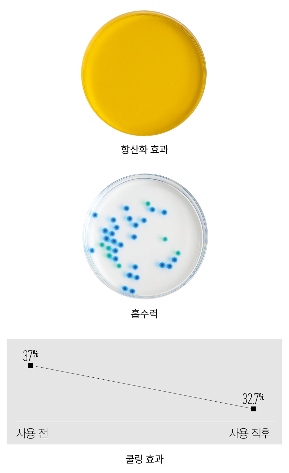 트리셀 나이트 퍼펙터