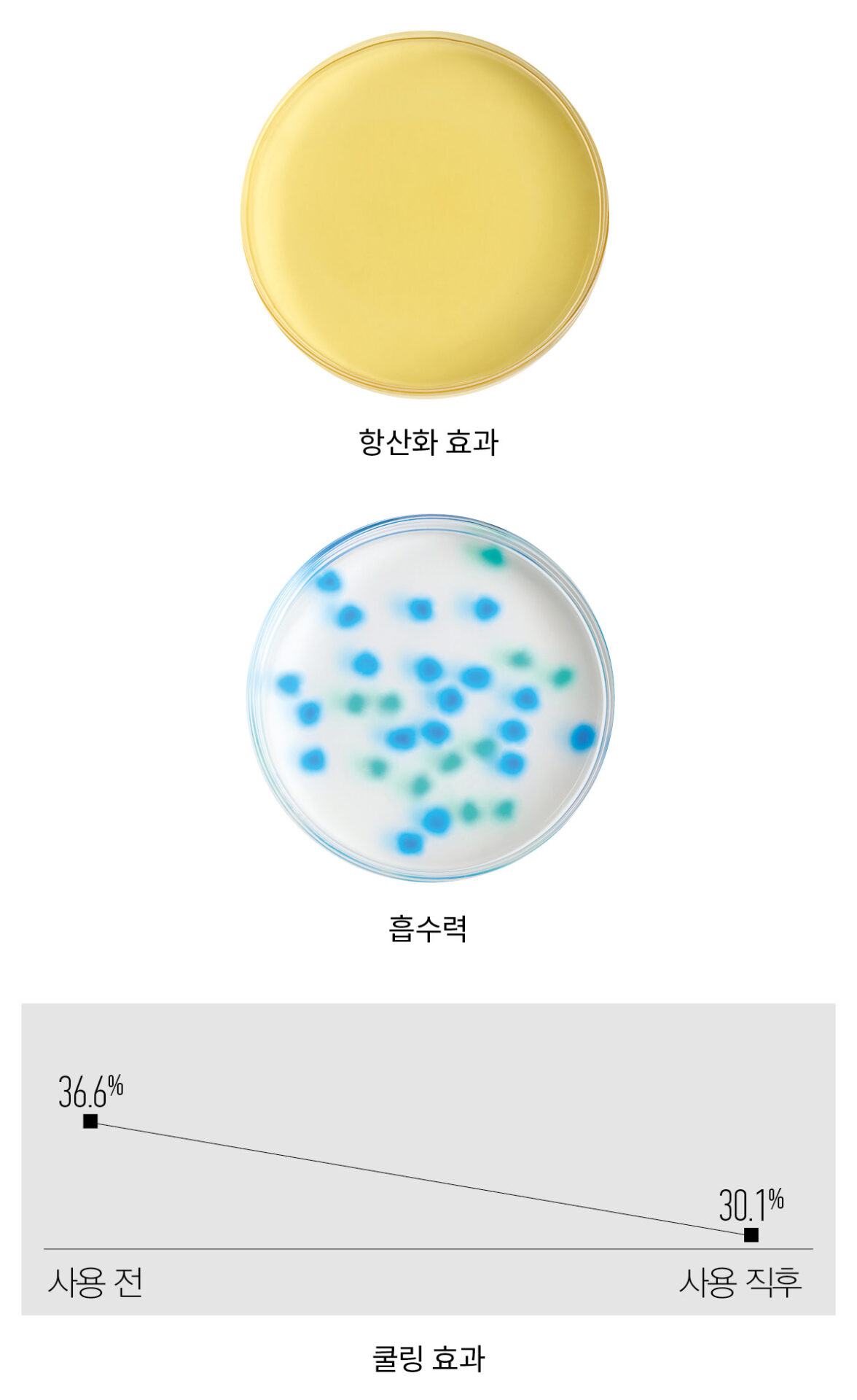 록시땅 퓨리파잉 프레시니스 샤인 비니거