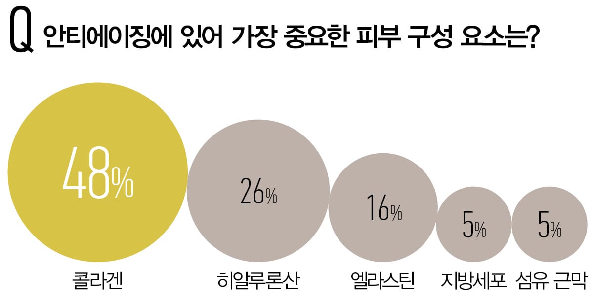 안티에이징에 있어 가장 중요한 피부 구성 요소는?