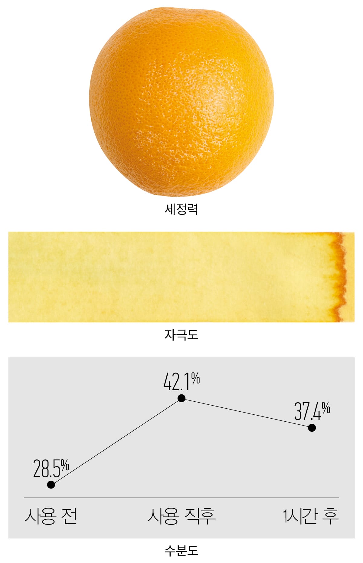 휩드 머그트리 비건 팩 클렌저 실험 결과