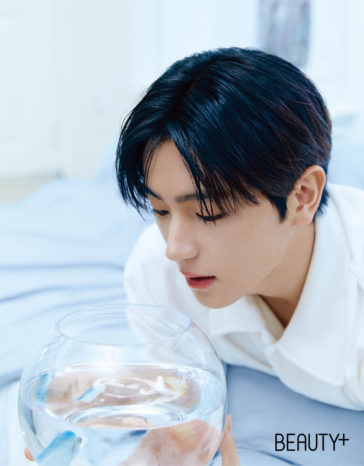 더보이즈 현재, 아누아