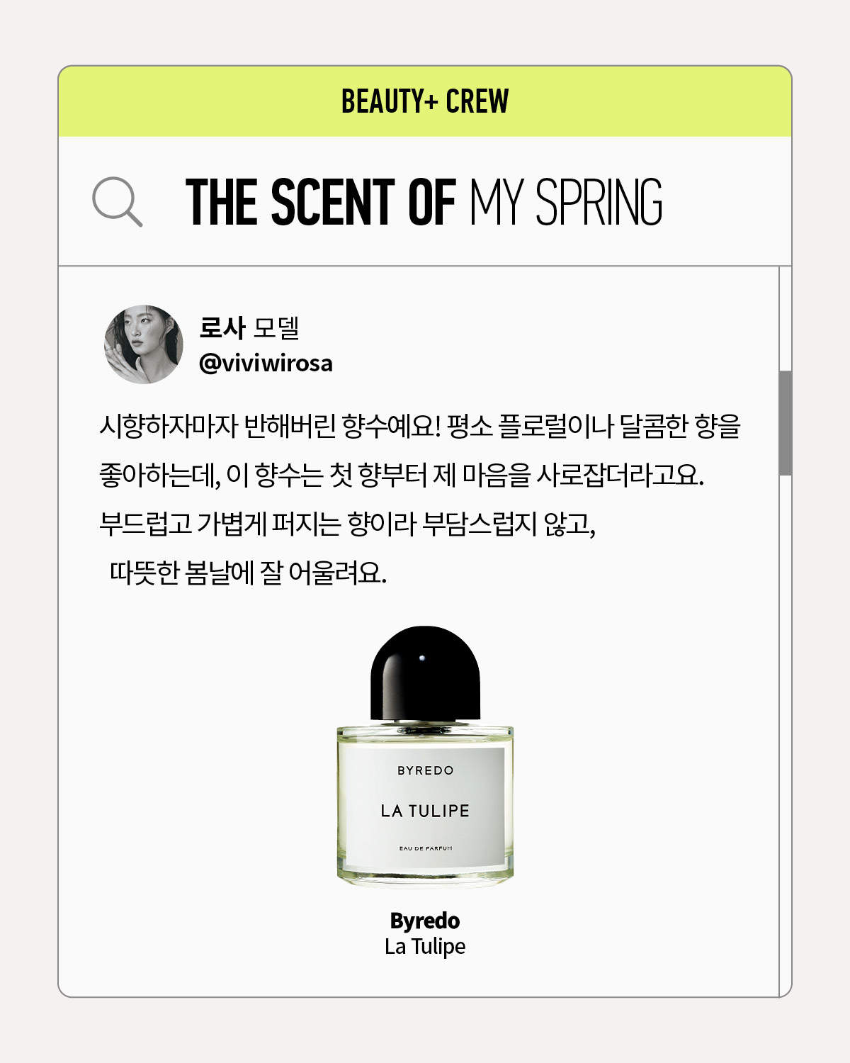 바이레도 라 튤립