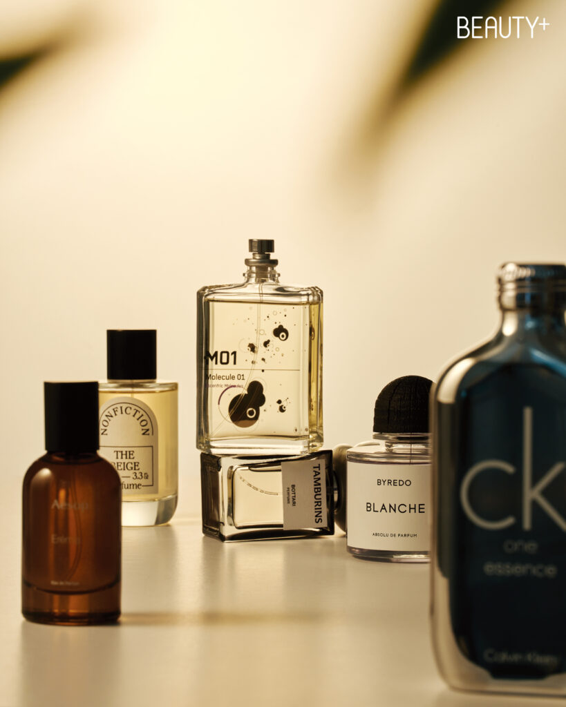 이솝 에레미아 오 드 퍼퓸, 논픽션 더베이지 오드퍼퓸, 이센트릭 몰리큘스 몰리큘 01 EDT, 탬버린즈 퍼퓸 보타리, 바이레도 블랑쉬 앱솔뤼 드 퍼퓸, 캘빈클라인 CK One 에센스 인텐스