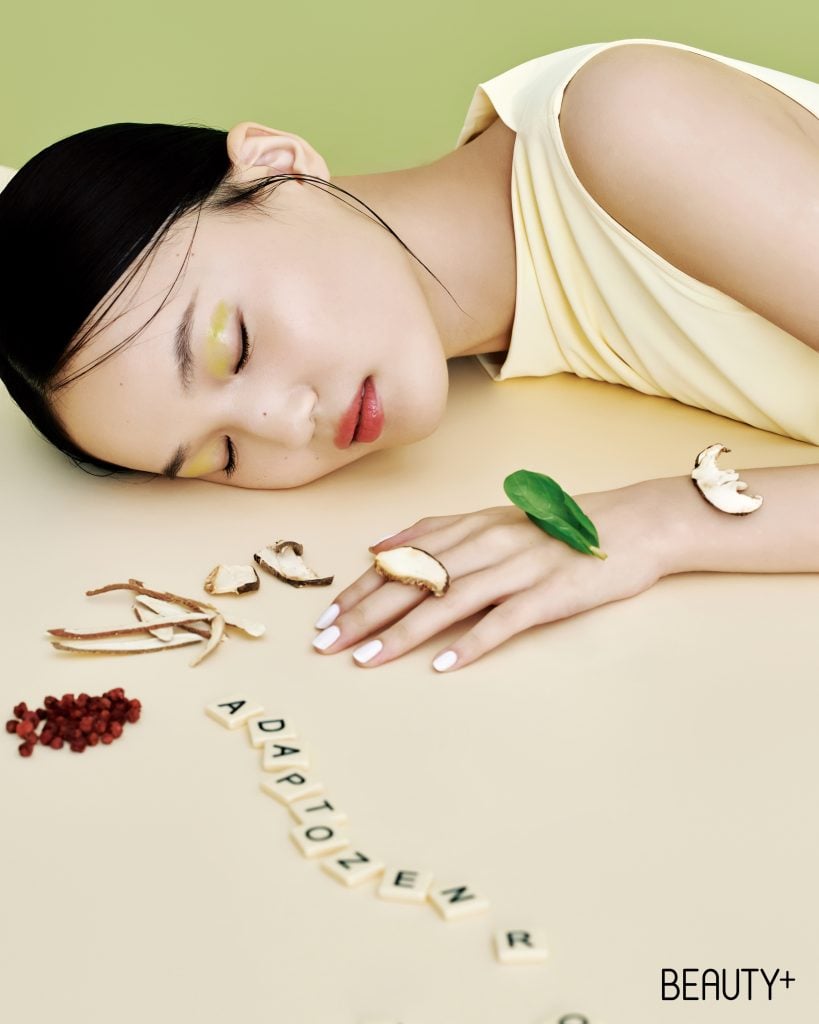 아답토젠으로 제로-스트레스