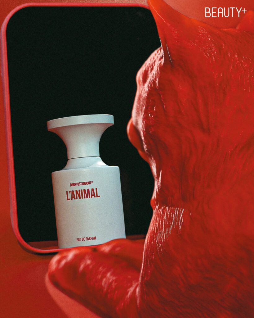 본투스탠드아웃