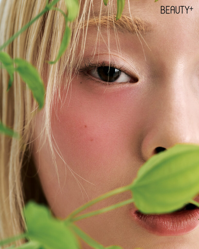 봄바람을 닮은 향, 나의 시그너처 향수는? 봄과 여름 사이의 상쾌함을 만끽하고 싶다면 이 향